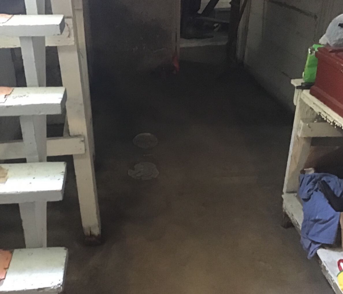 Basement prior to cleaning