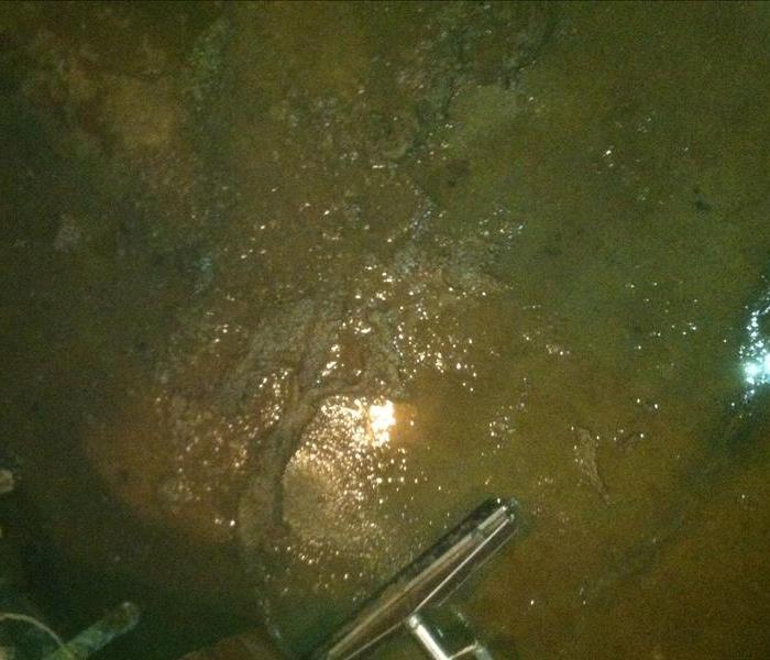 sewage on a basement floor