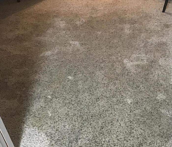 saturated carpets in an Athens County home