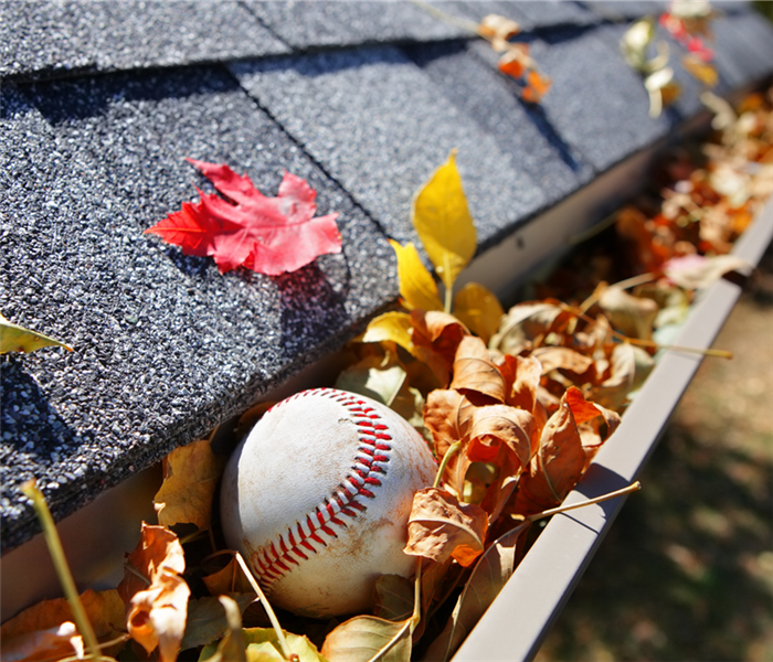 gutter filled with leaves and a baseball